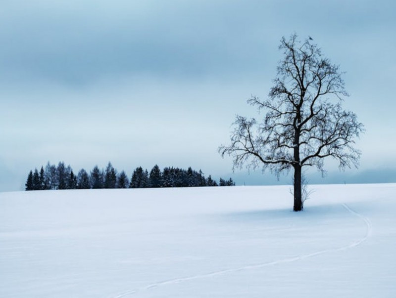 Ойрын 10 хоногт цаг агаар ямар байх вэ